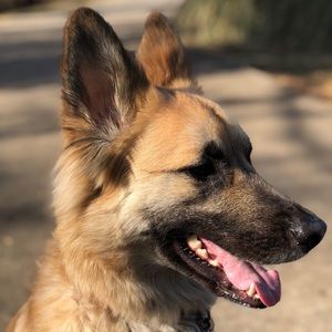 Meet your Posher, Brooks